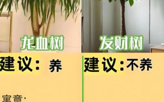 2024年养什么最赚钱_新手如何低成本起步