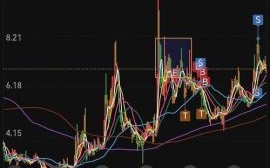 600422股票行情怎么样_未来走势如何