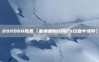 黑猫股票是什么_黑猫股票值得买吗