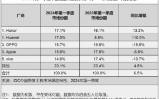 IDC市场份额排名_2024年最新变化