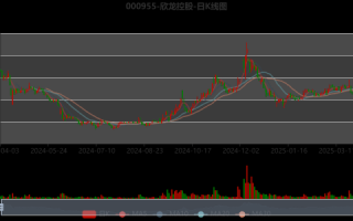 欣龙控股股票怎么样_欣龙控股值得长期持有吗