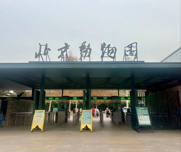 北京动物园多久能逛完_需要多长时间-第1张图片-俊逸知识馆 北京动物园多久能逛完_需要多长时间-第1张图片-俊逸知识馆