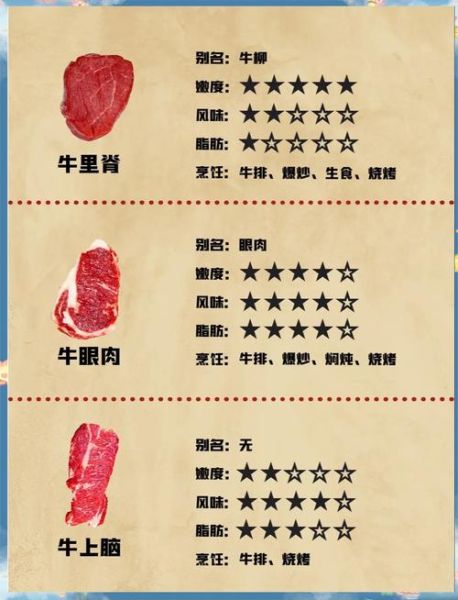 怎么样的小牛_怎样挑选健康小牛-第1张图片-俊逸知识馆