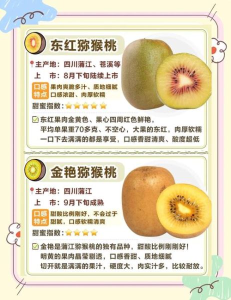 猕猴桃什么时候吃最好_猕猴桃怎么挑选才甜-第1张图片-俊逸知识馆 猕猴桃什么时候吃最好_猕猴桃怎么挑选才甜-第1张图片-俊逸知识馆