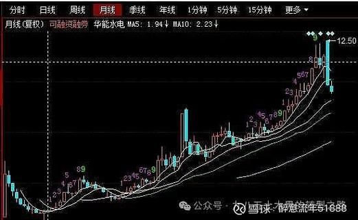 华能电力股票值得买吗_华能电力股票未来走势-第1张图片-俊逸知识馆