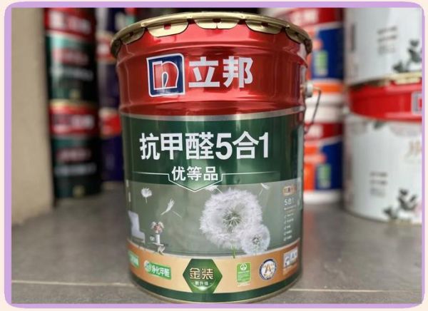 涂料品牌怎么选_室内环保涂料哪种好-第3张图片-俊逸知识馆