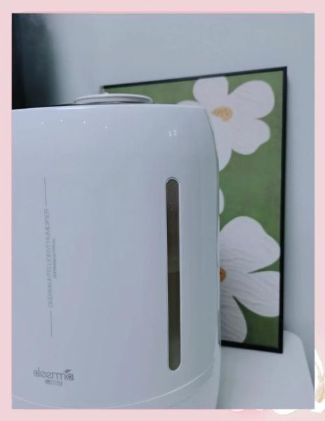德尔玛加湿器怎么样_德尔玛加湿器好用吗-第3张图片-俊逸知识馆 德尔玛加湿器怎么样_德尔玛加湿器好用吗-第3张图片-俊逸知识馆