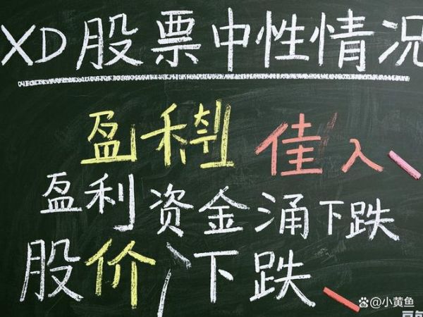 xd股票是什么意思_xd股票当天可以买卖吗-第3张图片-俊逸知识馆