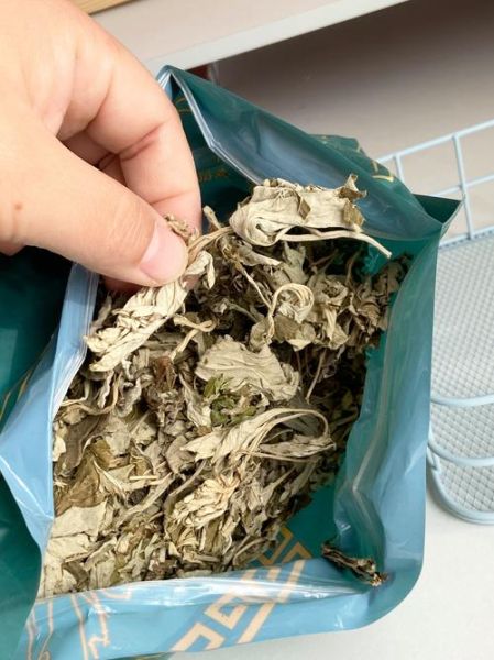 艾草多少钱一斤_新鲜艾草和干艾草价格差多少-第1张图片-俊逸知识馆