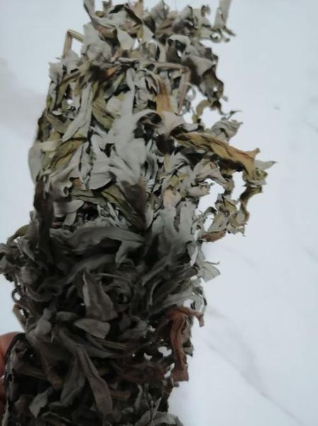 艾草多少钱一斤_新鲜艾草和干艾草价格差多少-第2张图片-俊逸知识馆