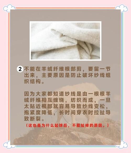 羊绒衫怎么选_羊绒衫起球怎么办-第1张图片-俊逸知识馆