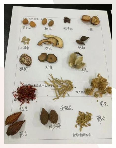 中药饮片价格为什么差距大_如何辨别真假中药材-第2张图片-俊逸知识馆