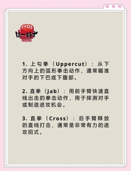 拳击初学者怎么入门_拳击训练多久见效-第1张图片-俊逸知识馆