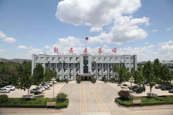 东岳股票值得长期持有吗_东岳集团未来前景如何-第2张图片-俊逸知识馆