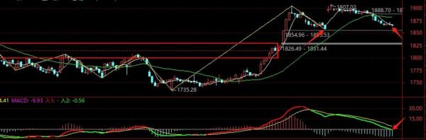 中国国旅股票值得买吗_中国国旅股票走势分析-第1张图片-俊逸知识馆