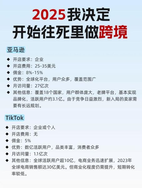 2025年跨境电商还能做吗_新手如何快速入门-第2张图片-俊逸知识馆