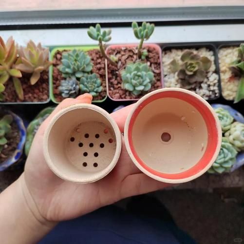 花盆买什么材质好_花盆底部要不要打孔-第3张图片-俊逸知识馆