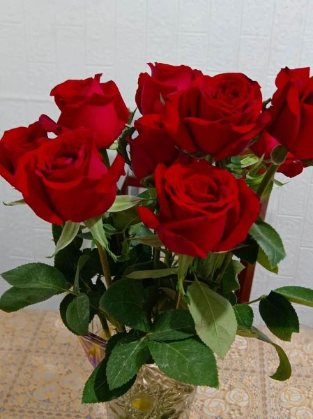 玫瑰花价格多少钱一支_玫瑰花怎么保存时间长-第3张图片-俊逸知识馆 玫瑰花价格多少钱一支_玫瑰花怎么保存时间长-第3张图片-俊逸知识馆