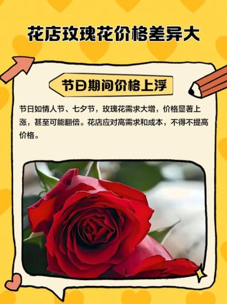 玫瑰花价格多少钱一支_玫瑰花怎么保存时间长-第2张图片-俊逸知识馆 玫瑰花价格多少钱一支_玫瑰花怎么保存时间长-第2张图片-俊逸知识馆
