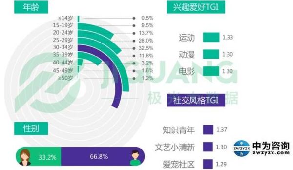 小米手机市场调查报告_小米手机用户画像分析-第2张图片-俊逸知识馆