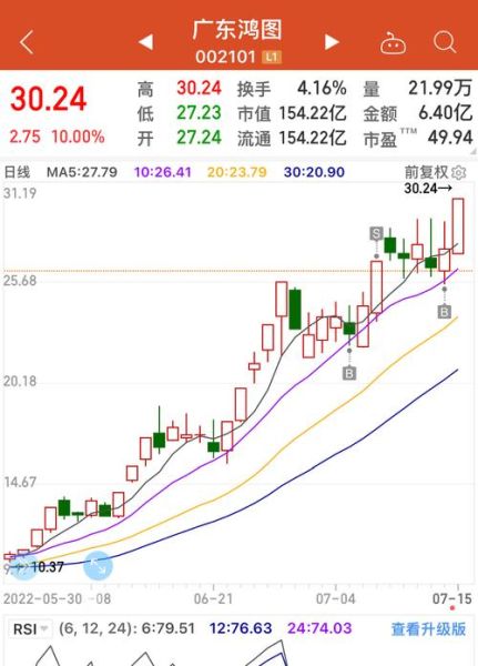 广东鸿图股票值得买吗_广东鸿图未来走势如何-第1张图片-俊逸知识馆