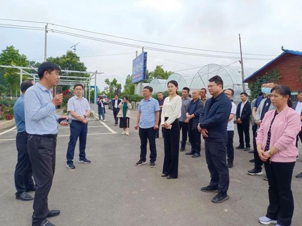 金键米业股票怎么样_金键米业股票值得买吗-第2张图片-俊逸知识馆 金键米业股票怎么样_金键米业股票值得买吗-第2张图片-俊逸知识馆