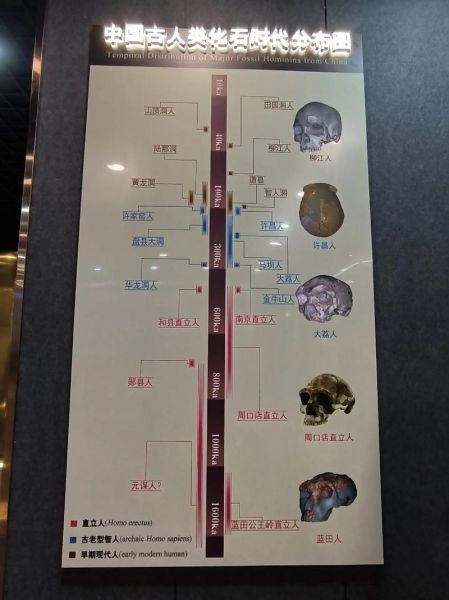 北京古生物博物馆门票价格_开放时间-第3张图片-俊逸知识馆 北京古生物博物馆门票价格_开放时间-第3张图片-俊逸知识馆