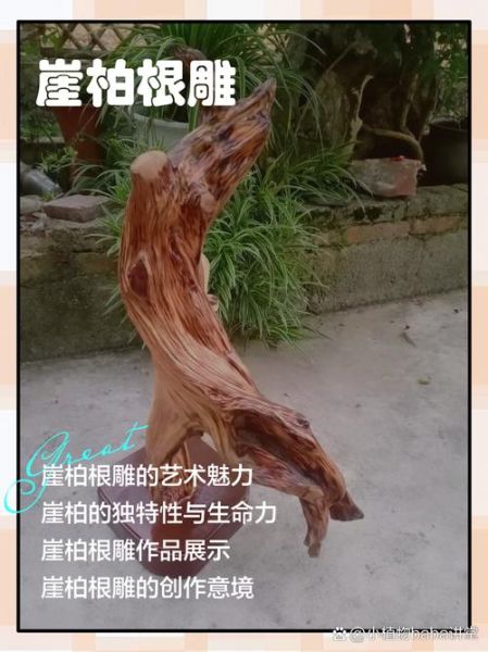 根雕价格一般多少钱_根雕怎么保养不开裂-第3张图片-俊逸知识馆 根雕价格一般多少钱_根雕怎么保养不开裂-第3张图片-俊逸知识馆