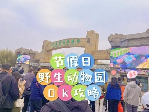 北京大兴野生动物园门票价格_北京大兴野生动物园自驾区怎么玩-第1张图片-俊逸知识馆
