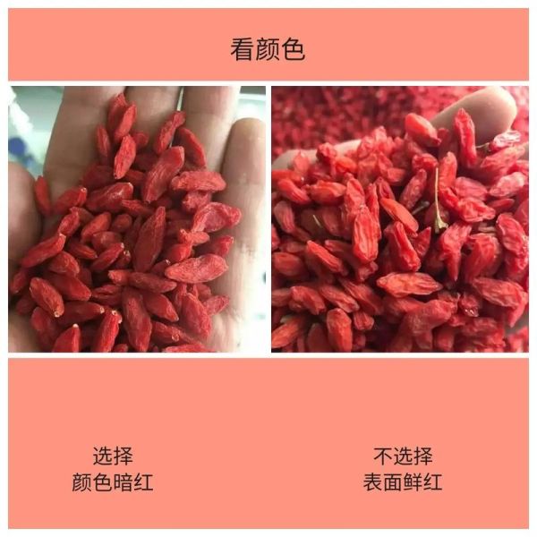 枸杞多少钱一斤_枸杞怎么挑选-第2张图片-俊逸知识馆