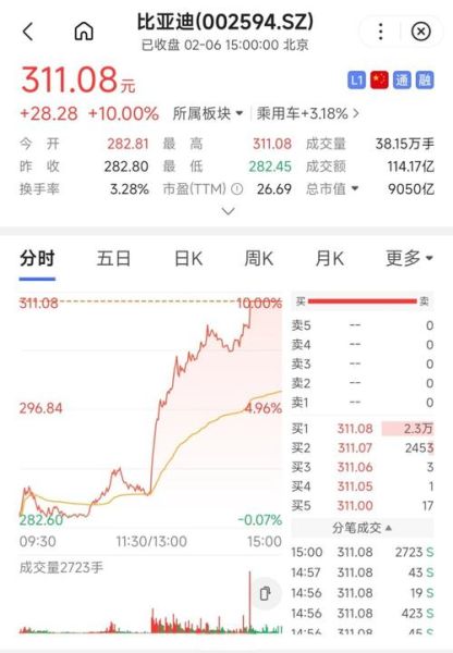 比亚迪股票未来走势_现在买入还来得及吗-第3张图片-俊逸知识馆