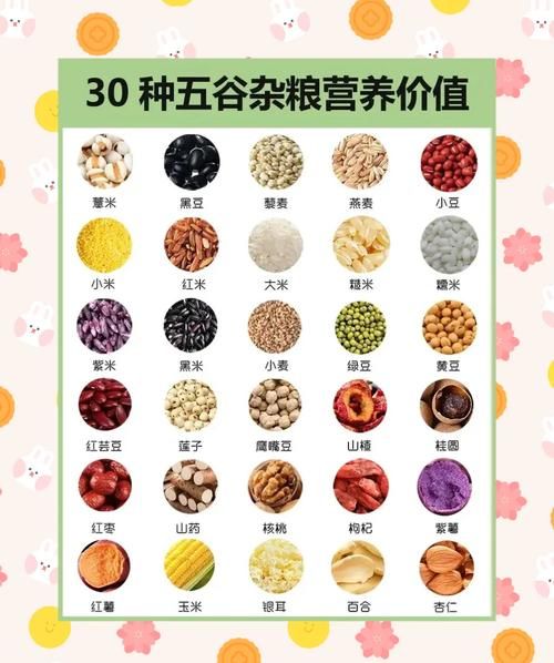 杂粮有哪些品种_杂粮怎么吃最营养-第3张图片-俊逸知识馆