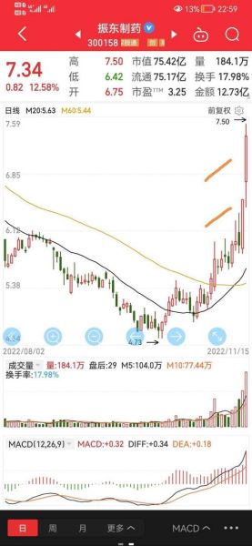 振东制药股票值得长期持有吗_300158最新走势分析-第3张图片-俊逸知识馆