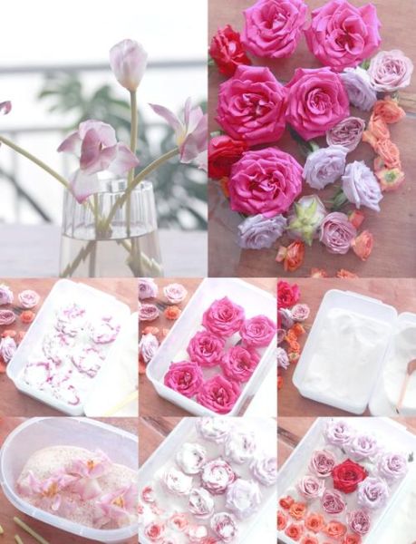 干花怎么做才能保持颜色_干花市场有哪些热门品种-第1张图片-俊逸知识馆