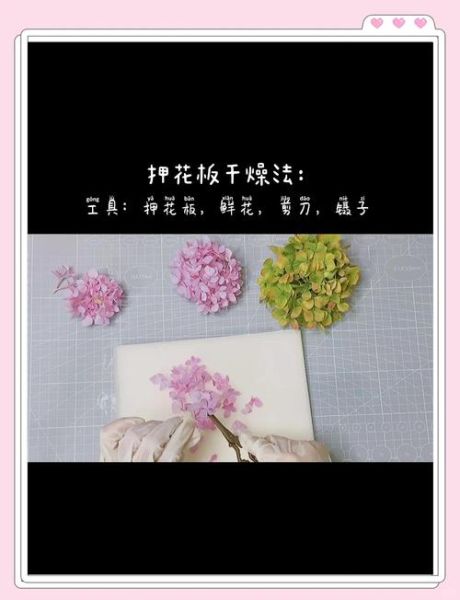 干花怎么做才能保持颜色_干花市场有哪些热门品种-第2张图片-俊逸知识馆