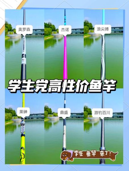 什么牌子鱼竿性价比高_新手怎么选渔具-第3张图片-俊逸知识馆