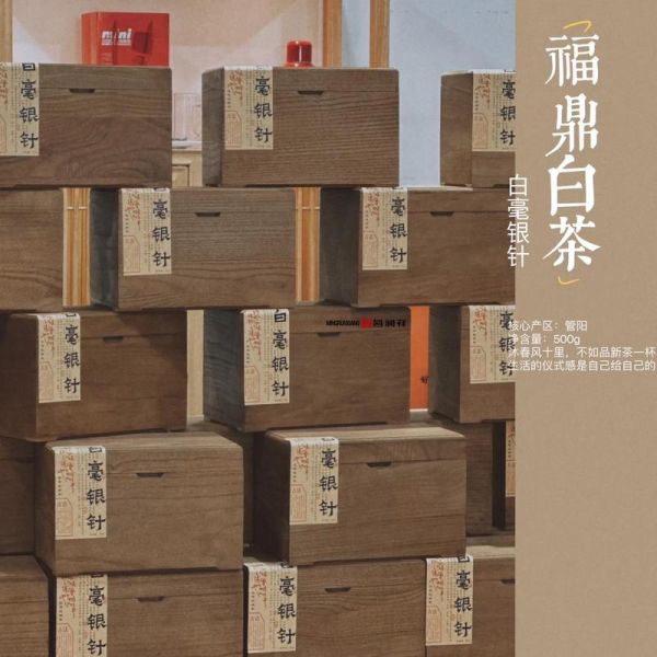 白茶价格多少钱一斤_白茶怎么储存最好-第2张图片-俊逸知识馆