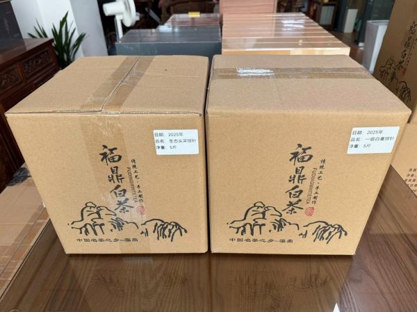 白茶价格多少钱一斤_白茶怎么储存最好-第1张图片-俊逸知识馆