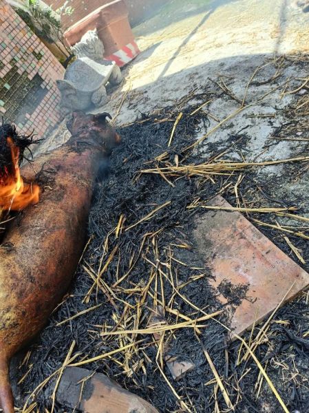 狗肉价格多少钱一斤_狗肉市场合法吗-第2张图片-俊逸知识馆