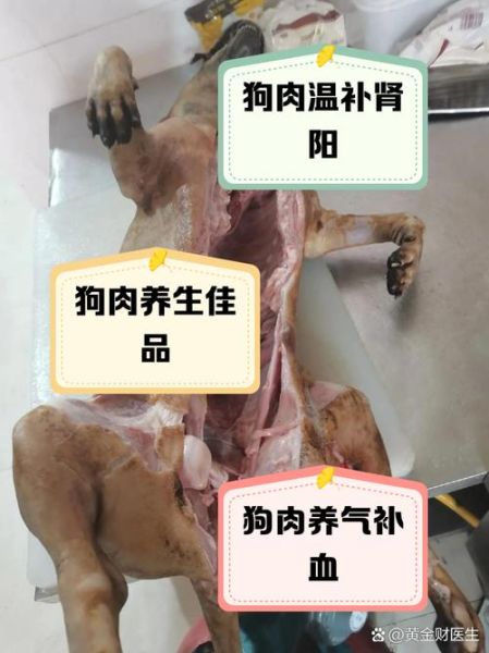 狗肉价格多少钱一斤_狗肉市场合法吗-第3张图片-俊逸知识馆