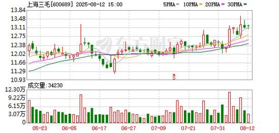 600689上海三毛股票怎么样_值得长期持有吗-第1张图片-俊逸知识馆