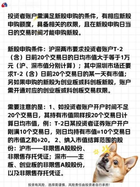 新股申购条件是什么_新股中签后多久上市-第3张图片-俊逸知识馆