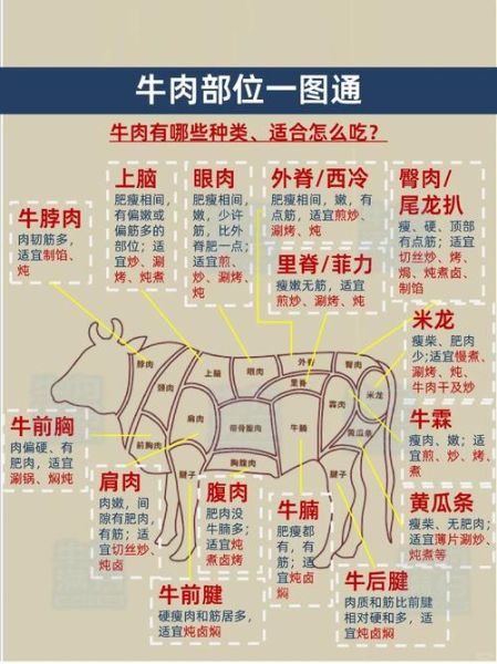 牛肉价格为什么上涨_如何挑选新鲜牛肉-第1张图片-俊逸知识馆