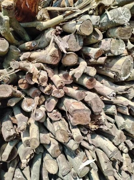 杂木市场价格走势_杂木市场在哪里-第3张图片-俊逸知识馆