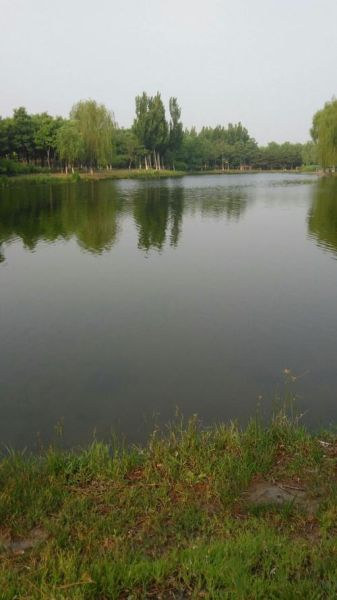 北京大兴区今天穿什么_大兴区未来一周天气怎么样-第2张图片-俊逸知识馆