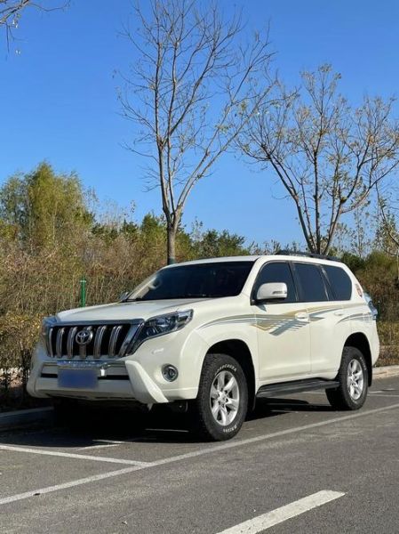 霸道怎么样_霸道值得买吗-第1张图片-俊逸知识馆