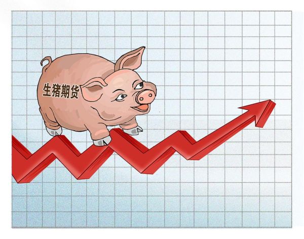 猪肉价格为什么上涨_未来走势如何-第2张图片-俊逸知识馆