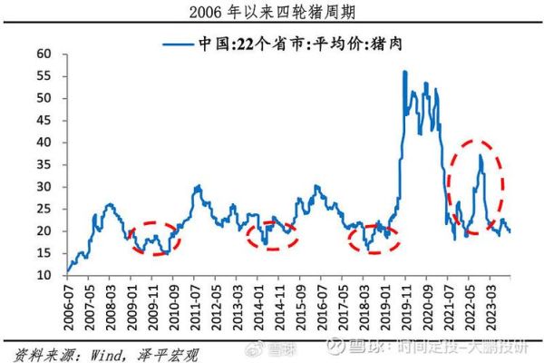 猪肉价格为什么上涨_未来走势如何-第1张图片-俊逸知识馆