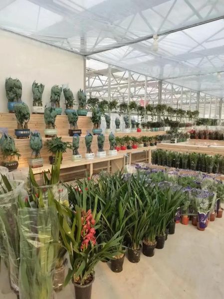 开花店需要多少钱_花艺培训哪家好-第3张图片-俊逸知识馆