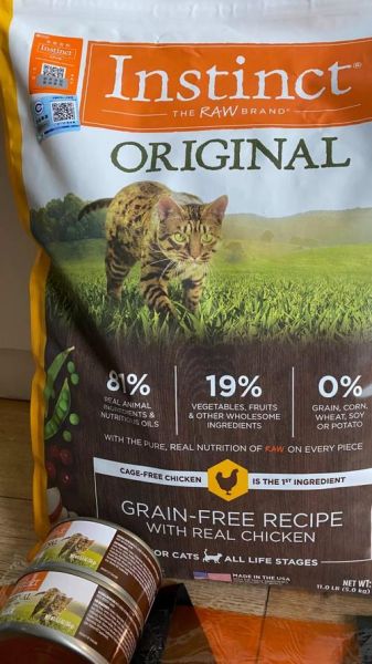 猫粮哪个牌子好_幼猫吃什么猫粮-第2张图片-俊逸知识馆